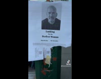 Collab WINY - Dan Perino looks for perfect woman poster