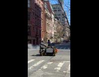 Motorcycle drive street sidecar carry two goats