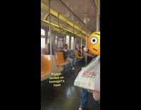 Pigeon lands on girls head in train 