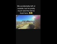 Dog outside tells kid to ring door 