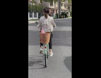 Hairless cat sits inside bike basket 