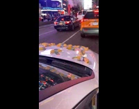 Collab WINY - White car with taped bananas in nyc