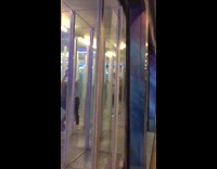 Guy walks in mirror maze and hits face on glass wall