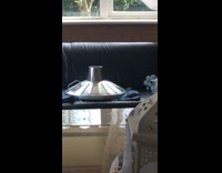 White kitten pops out from metal funnel 