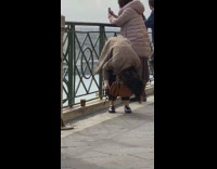 Lady bends to the ground coffee picture