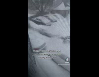 Neighbor plows snow into womans driveway and car 