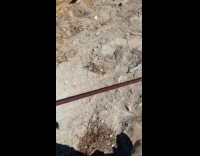 Man nails down on plank using long sledgehammer 