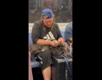 Collab WINY - Man counts cash with dog in train