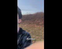 Man plays melodica for cow audience 