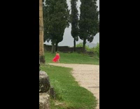Woman in a pink feather dress poses in the rain