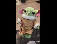 Guy receives bad baby yoda order from Wish