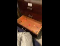 Guy pulls open drawer with a bunch of bug toys moving around