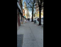 Collab winy - Man jog with dog carry traffic cone