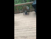 Baby boy stuck in folding chair falls forward