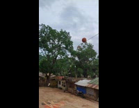 Man hits roof and satellite dish with ball