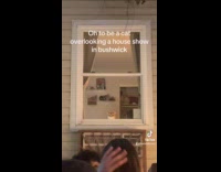 Collab Clips MPUGC - Cat watch people party from window