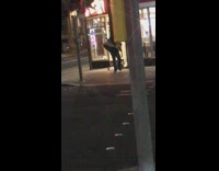 Drunk guy at the corner of an intersection shadow boxing 
