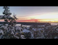 View from balcony in Sweden snow trees