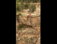 Dress girl sits edge mountain cliff selfie 