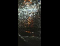 Cars drives through flooded street 