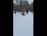 Two people in dinosaur costumes walk in snow covered park