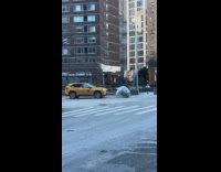 Plastic wrapped Christmas tree roll on street.