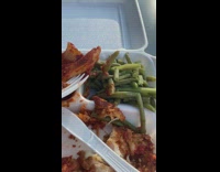 Guy lifts food black bug underneath styrofoam 