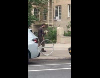 Collab WINY - Man walking with pet iguana 