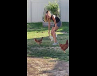 Chicken screams loud when the woman picks it up