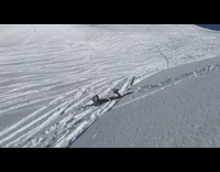 Skier jumps off hill and scorpions into the snow