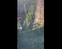 Firefighters use hose on small fire 