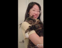 Woman brings home kitten and her cat got sad