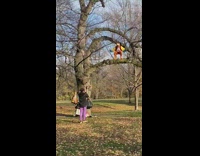 New species of bird found at brooklyn park