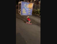 Dog red shirt rides pink scooter night