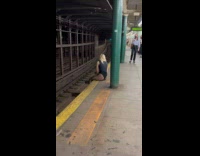 Collab IITW - Woman in mesh pants sits and poses on the subway station