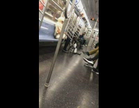 Black dog wears rainbow tie and white shirt on subway train
