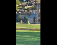 Woman in a green dress poses at the park