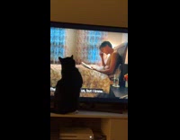 Cat scratching tv screen of beetlejuice character