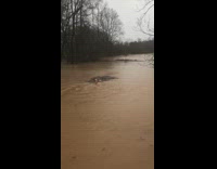 Collab BitchMP - Guy swim come on in dirty water