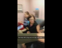 Collab Subway Creatures - Woman carries gray puppy dog in black purse on subway train