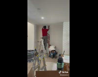 Two guys put up llama wallpaper