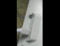 Black ants hold fly legs on router