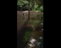 Motorcycle in middle of flooded street