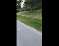 Man rides a bicycle with a squirrel almost got hit
