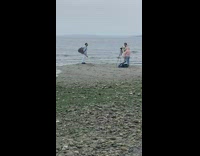 Guy shirt hold guitar sing beach overcast
