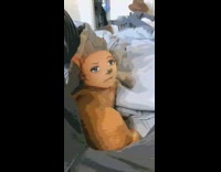 Guy uses anime filter brown dog bed