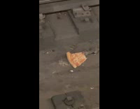 Rat drags eaten pizza slice down subway tracks 