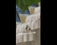 Shirtless guy brown pyramid waterfall wets hair 