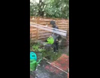 Mom lady waters plants in rain backyard 