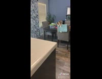 Collab BitchIG2 - Cat chair long jump onto island